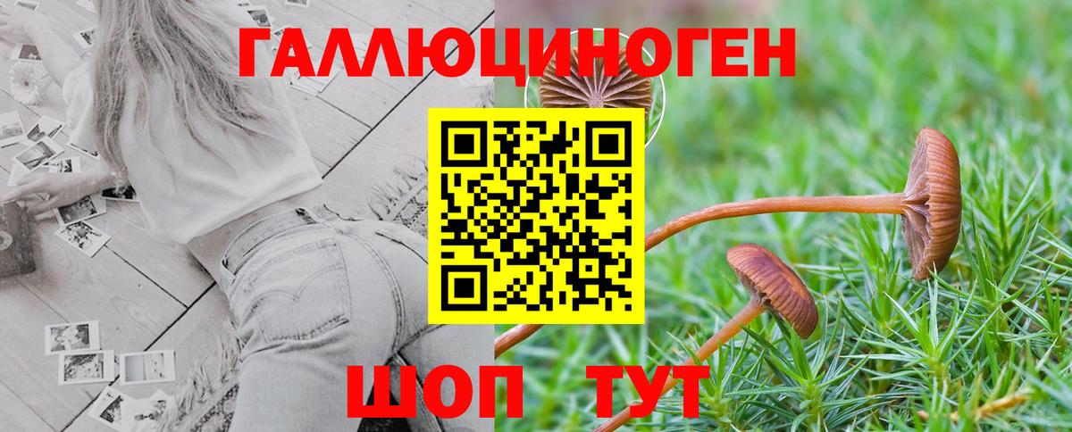 Галлюциногенные грибы прущие грибы Тихорецк