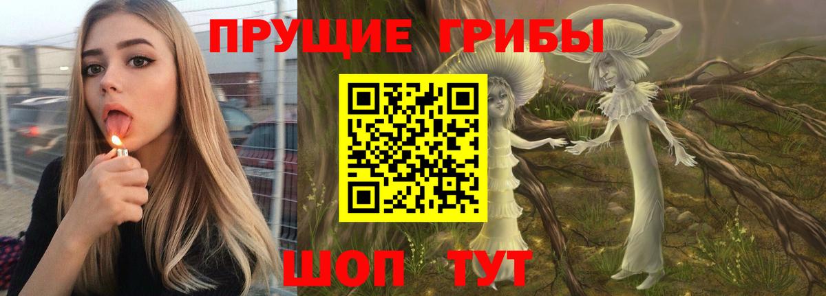 где купить наркоту  Вход с VPN  Галлюциногенные грибы мухоморы  Тихорецк  Галлюциногенные грибы Psilocybine cubensis 